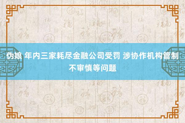 伪娘 年内三家耗尽金融公司受罚 涉协作机构管制不审慎等问题