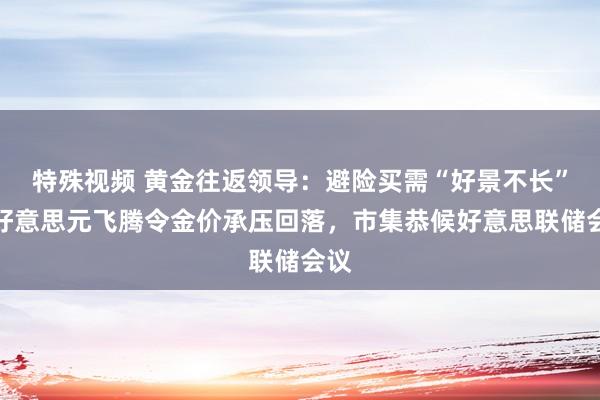 特殊视频 黄金往返领导：避险买需“好景不长”，好意思元飞腾令金价承压回落，市集恭候好意思联储会议