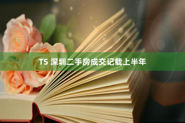 TS 深圳二手房成交记载上半年