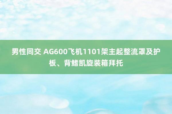 男性同交 AG600飞机1101架主起整流罩及护板、背鳍凯旋装箱拜托