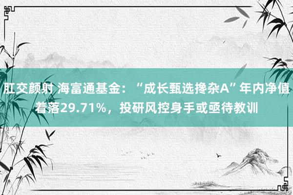 肛交颜射 海富通基金：“成长甄选搀杂A”年内净值着落29.71%，投研风控身手或亟待教训