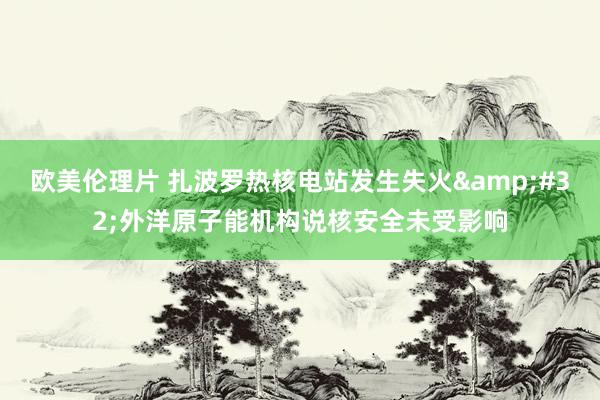 欧美伦理片 扎波罗热核电站发生失火&#32;外洋原子能机构说核安全未受影响