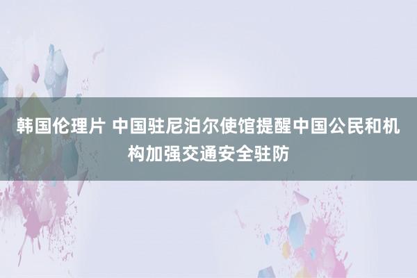 韩国伦理片 中国驻尼泊尔使馆提醒中国公民和机构加强交通安全驻防