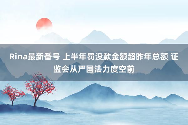 Rina最新番号 上半年罚没款金额超昨年总额 证监会从严国法力度空前