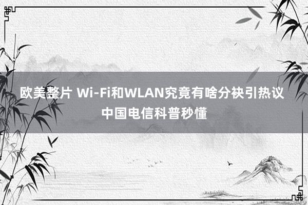 欧美整片 Wi-Fi和WLAN究竟有啥分袂引热议 中国电信科普秒懂