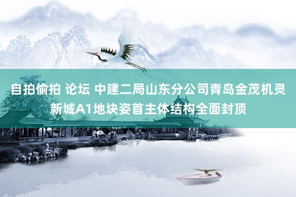 自拍偷拍 论坛 中建二局山东分公司青岛金茂机灵新城A1地块姿首主体结构全面封顶