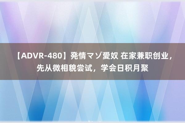 【ADVR-480】発情マゾ愛奴 在家兼职创业，先从微相貌尝试，学会日积月聚