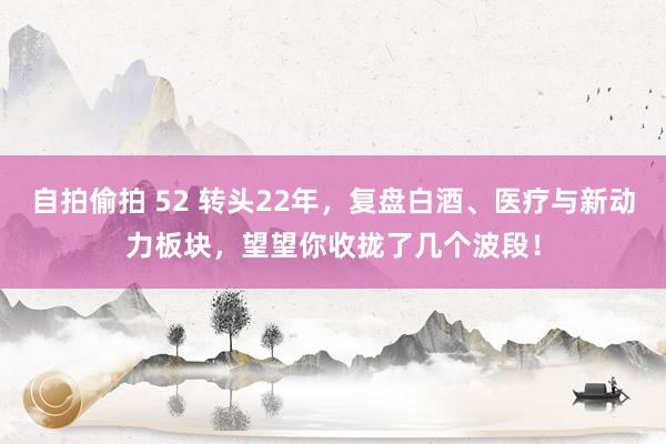 自拍偷拍 52 转头22年，复盘白酒、医疗与新动力板块，望望你收拢了几个波段！