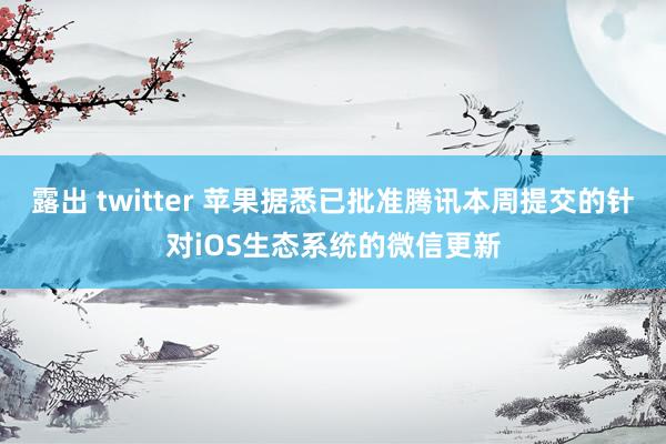 露出 twitter 苹果据悉已批准腾讯本周提交的针对iOS生态系统的微信更新