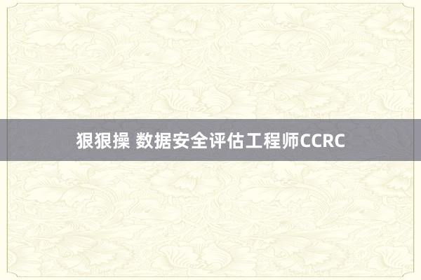 狠狠操 数据安全评估工程师CCRC