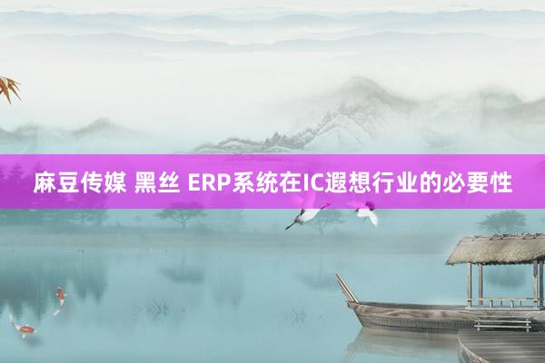 麻豆传媒 黑丝 ERP系统在IC遐想行业的必要性