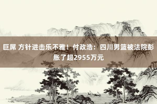 巨屌 方针进击乐不雅！付政浩：四川男篮被法院彭胀了超2955万元