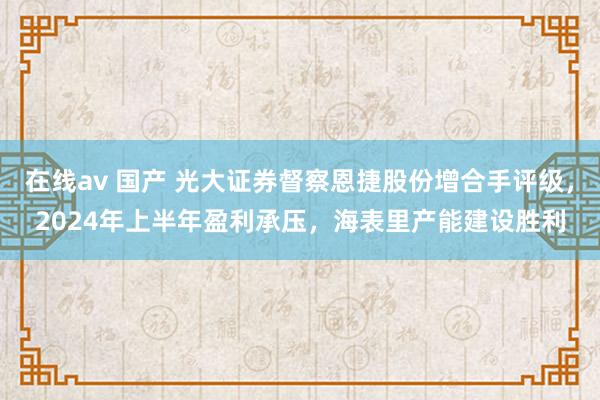 在线av 国产 光大证券督察恩捷股份增合手评级，2024年上半年盈利承压，海表里产能建设胜利