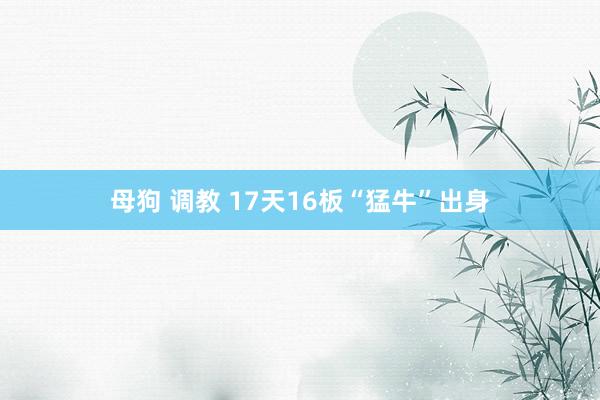 母狗 调教 17天16板“猛牛”出身