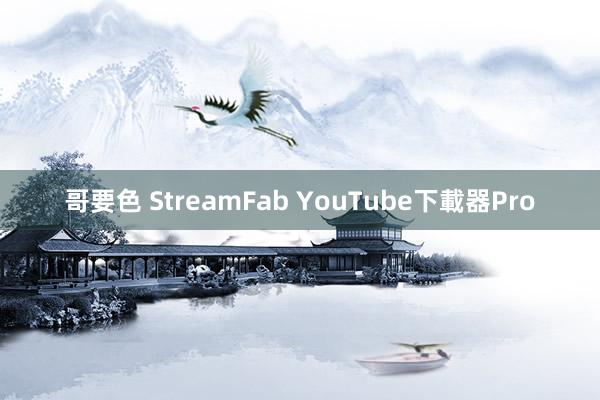 哥要色 StreamFab YouTube下載器Pro