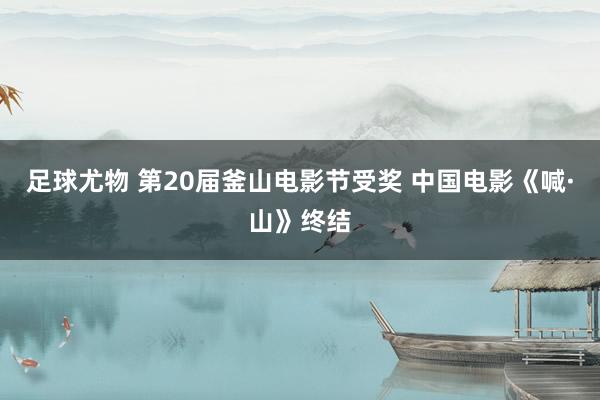 足球尤物 第20届釜山电影节受奖 中国电影《喊·山》终结