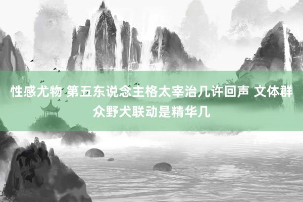 性感尤物 第五东说念主格太宰治几许回声 文体群众野犬联动是精华几