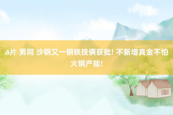 a片 男同 沙钢又一钢铁技俩获批! 不新增真金不怕火钢产能!