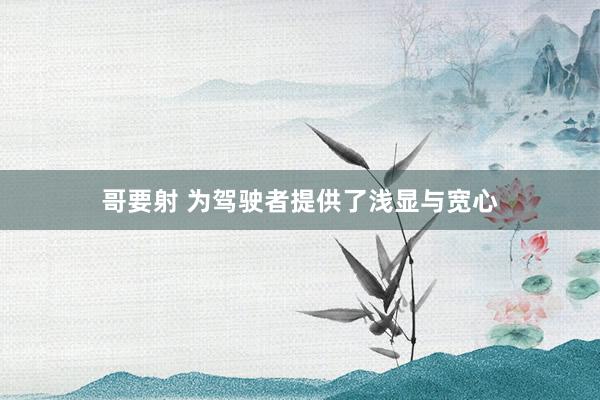 哥要射 为驾驶者提供了浅显与宽心